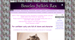Desktop Screenshot of boucles.co.uk